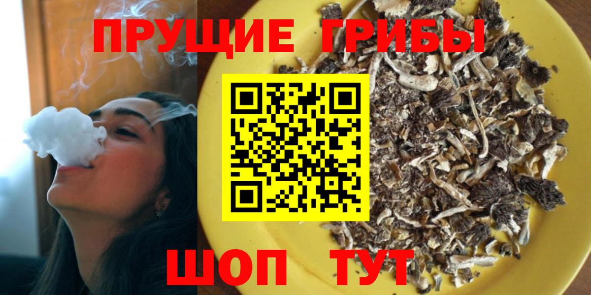 Псилоцибиновые грибы Psilocybine cubensis Острогожск